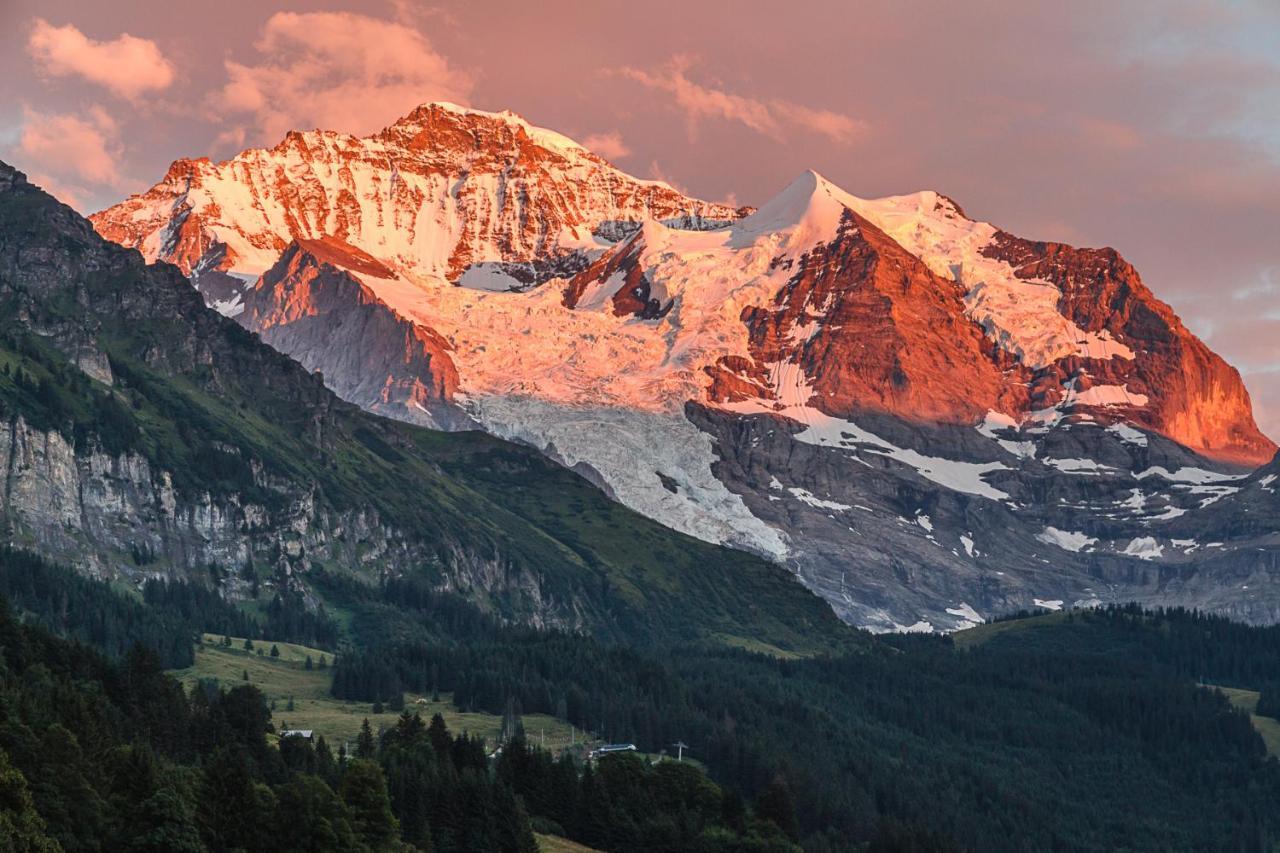 Gasthof Berghaus Wengen