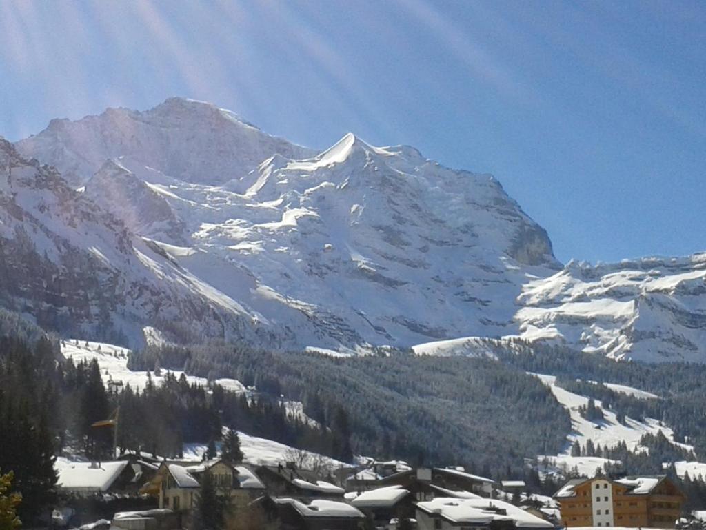 Berghaus 3* Wengen